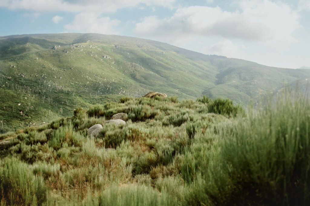 The Goats: Taking on Portugal’s Most Epic Gravel Challenge