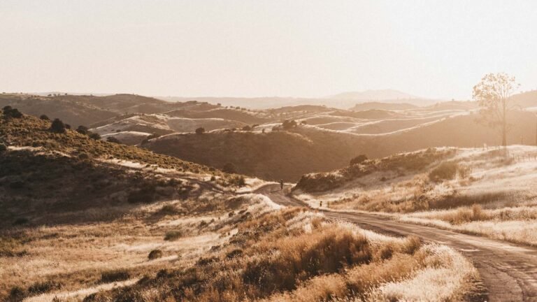 Gravel Birds: An Ultra Cycling Adventure in Southern Portugal