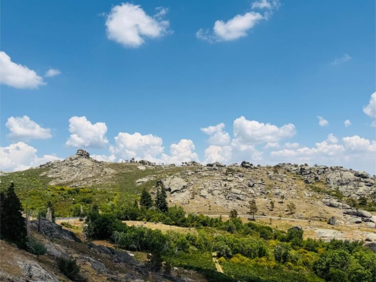 The Goats Ultracycling Event – 2026
