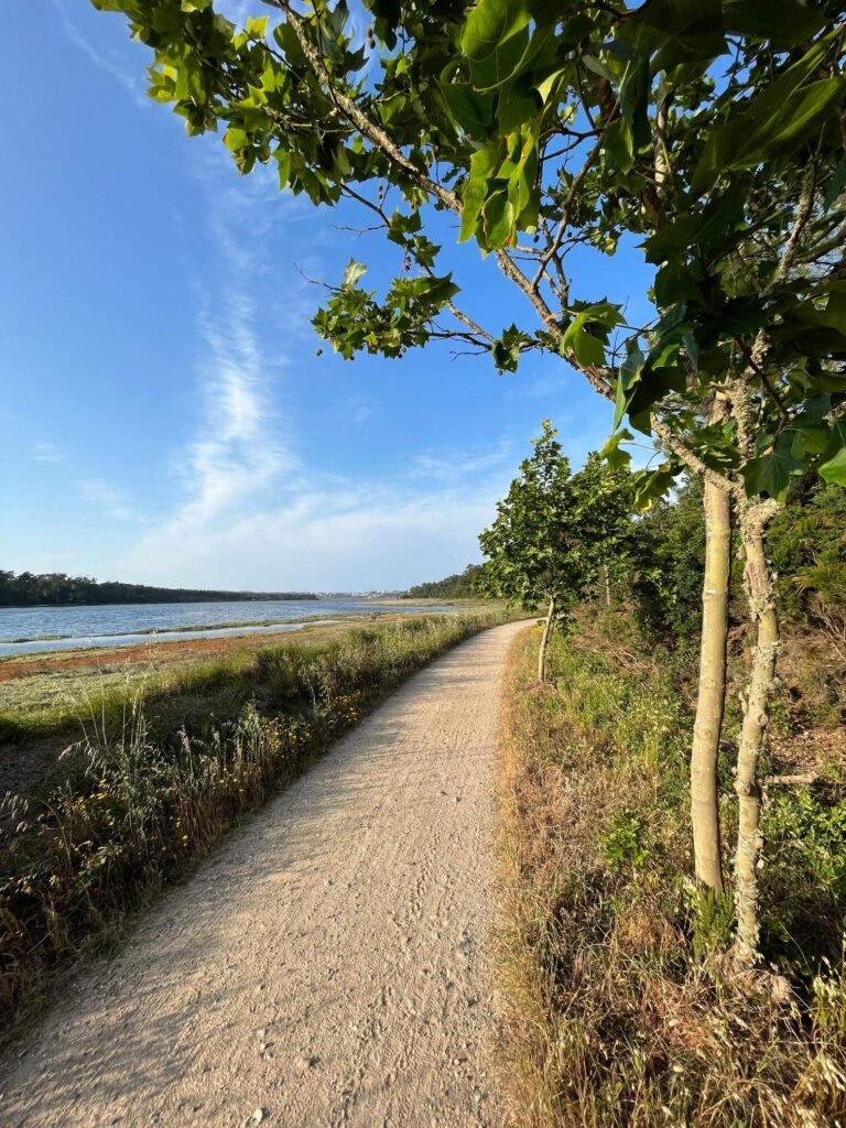 Bikepacking Portugal — gravel road alongside Lagoa de Óbidos