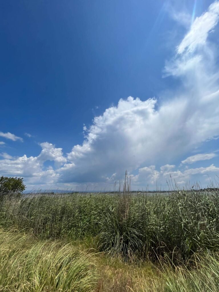 Bikepacking Portugal — rain showers near Aveiro