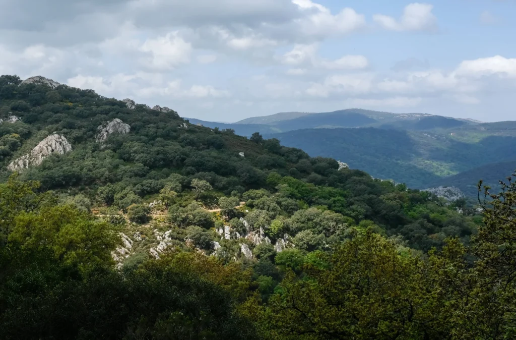 El Sur bikepacking event