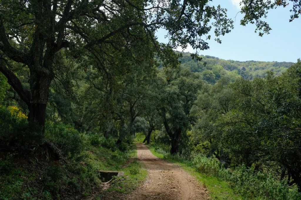El Sur bikepacking event