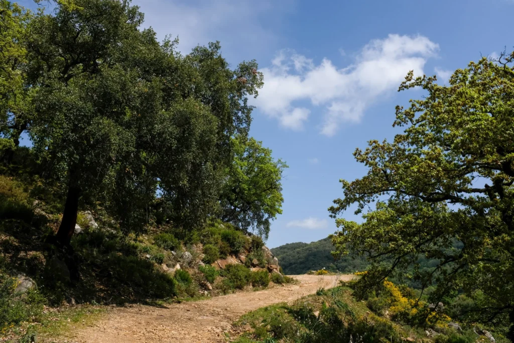 El Sur bikepacking event