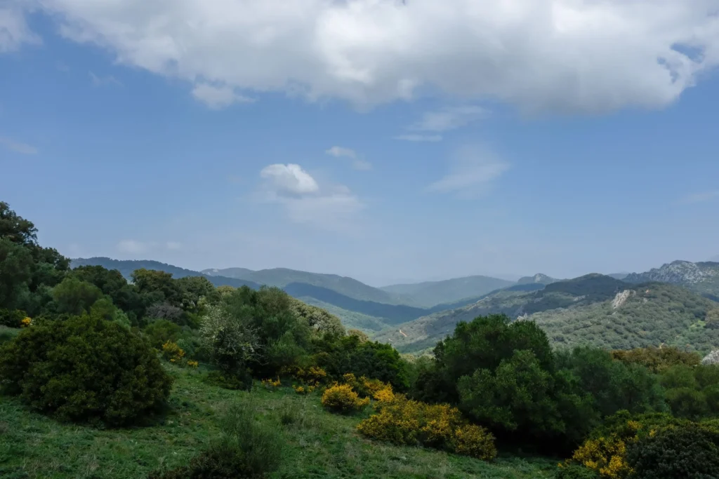 El Sur bikepacking event