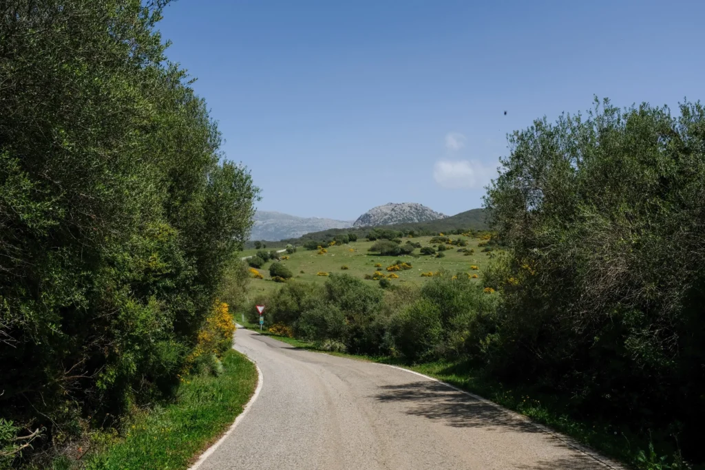 El Sur bikepacking event